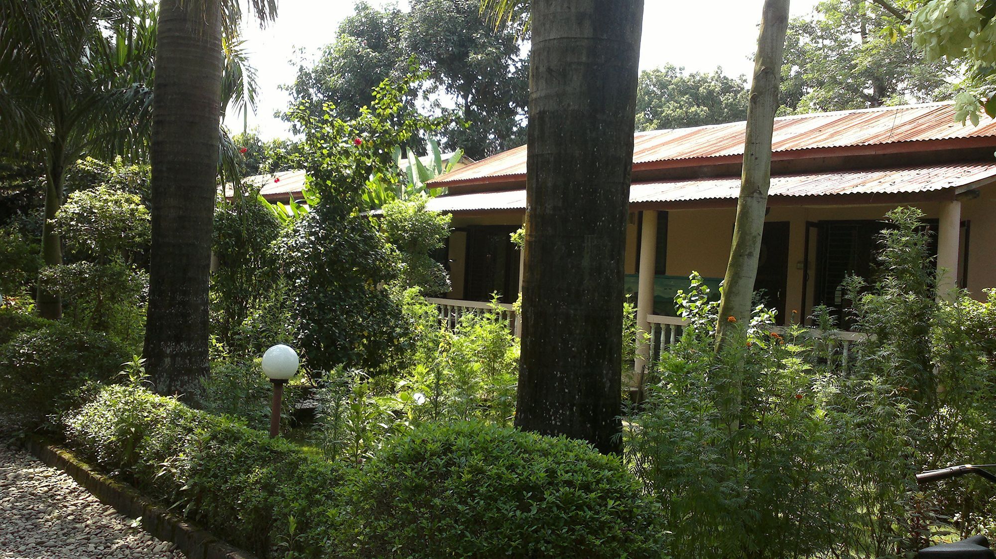 Ama Garden Sauraha Hotel Exterior foto