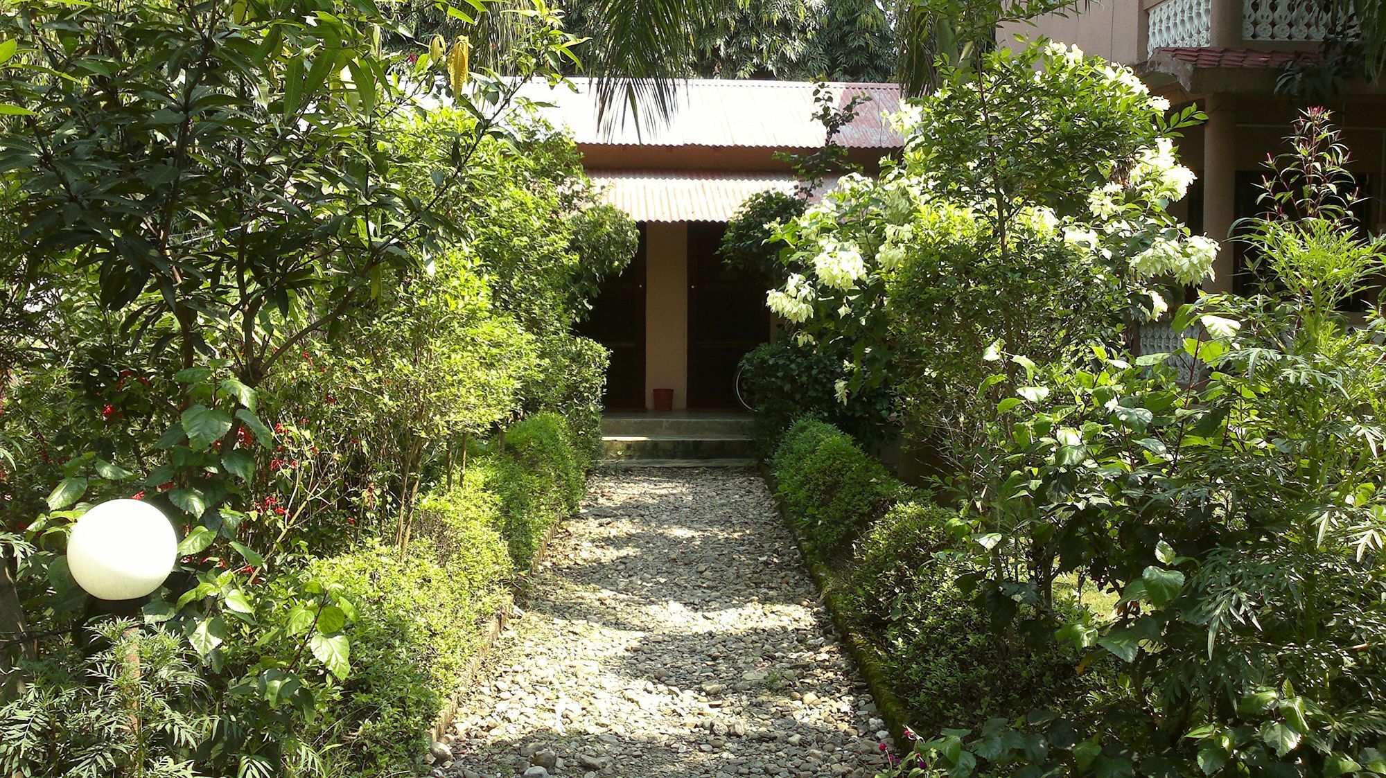 Ama Garden Sauraha Hotel Exterior foto