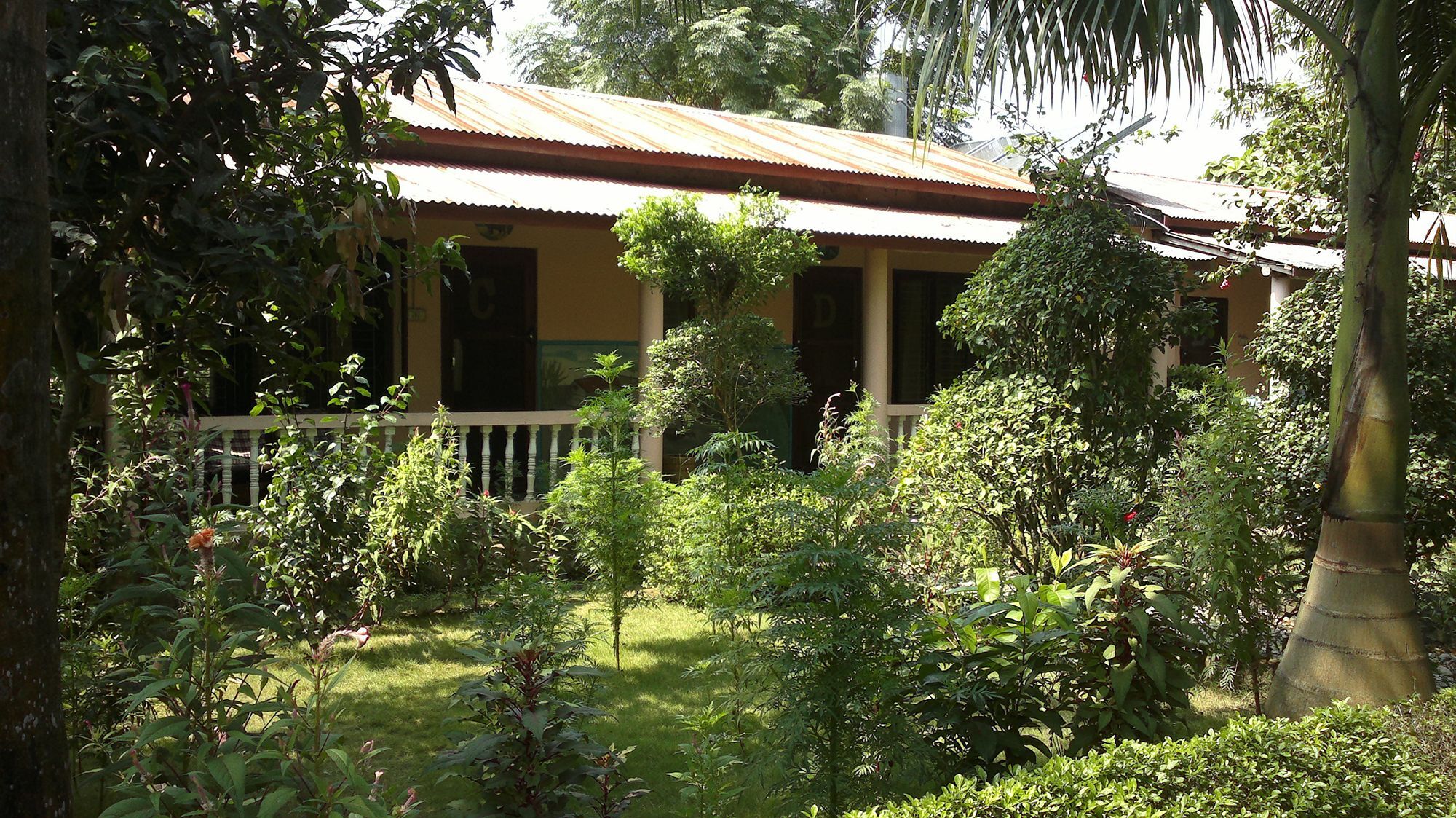 Ama Garden Sauraha Hotel Exterior foto
